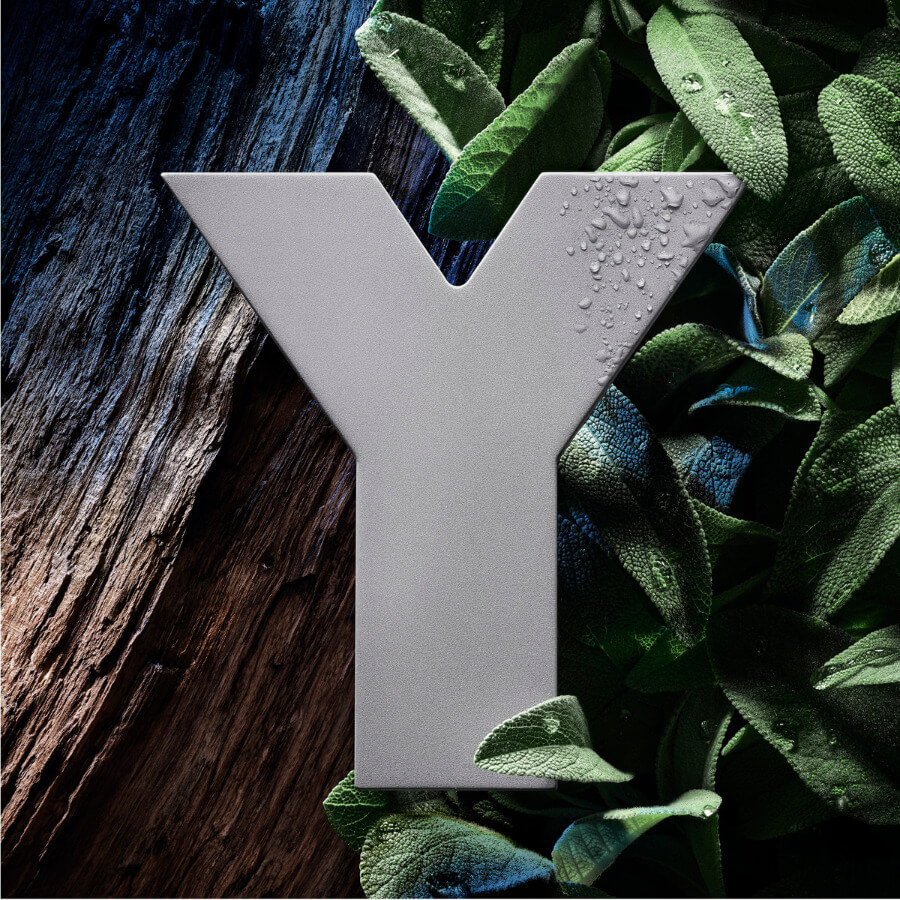 Y Eau de Parfum