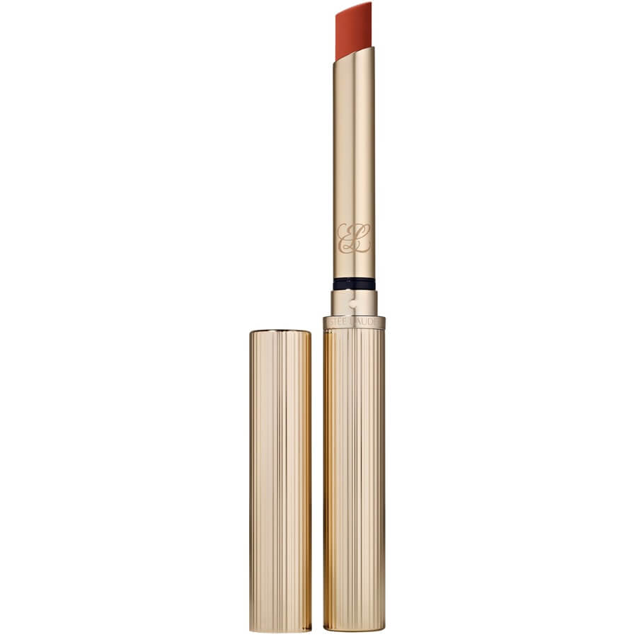 Pure Color Explicit Silk Matte Lipstick