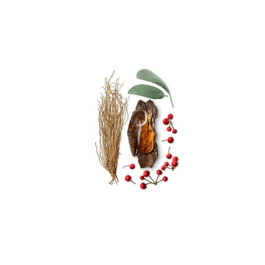 James Eau de Parfum