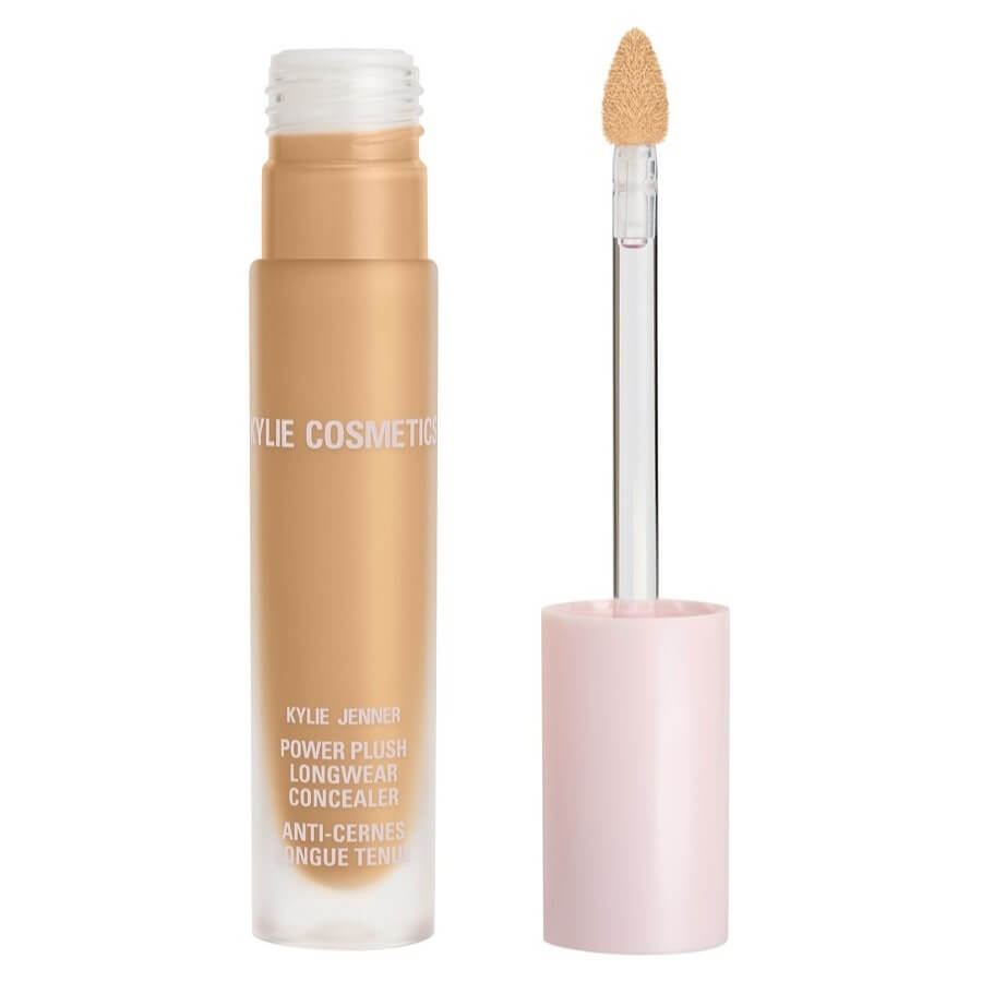 Power Plush Longwear Concealer