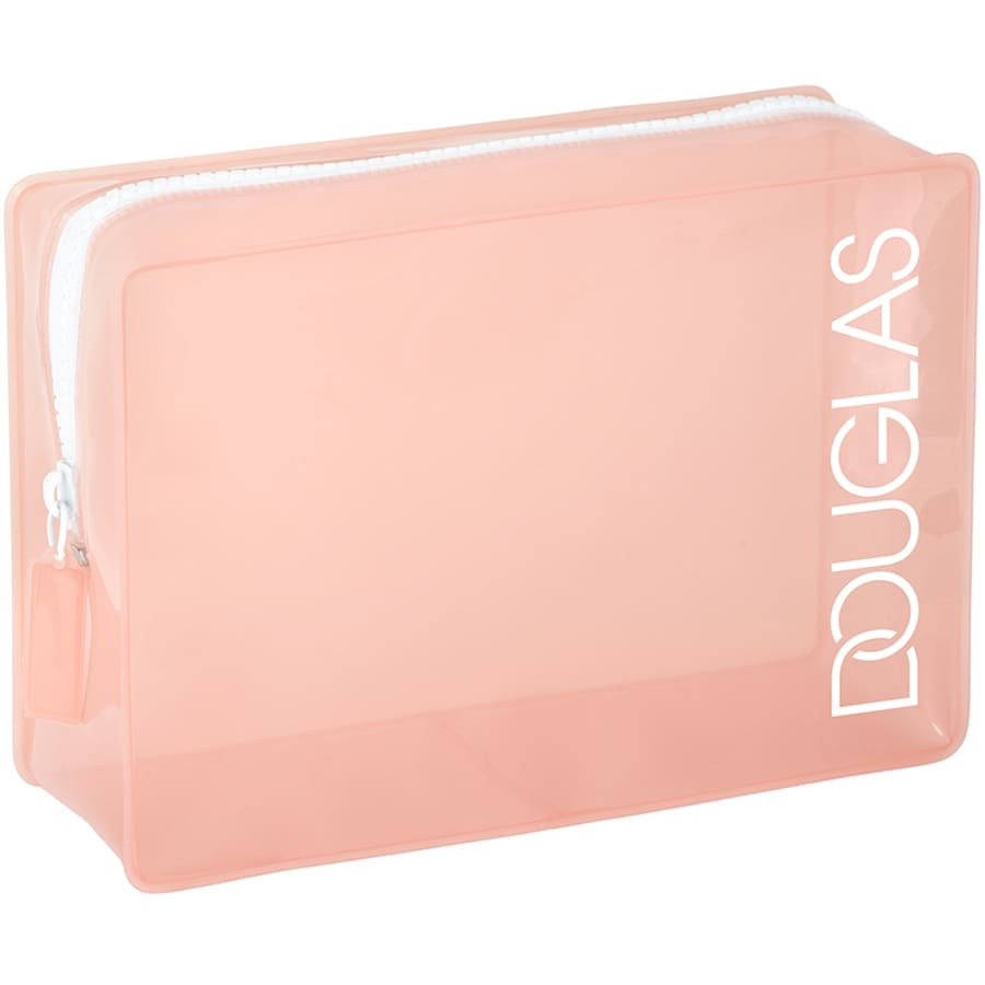 Transparent Travel Bag