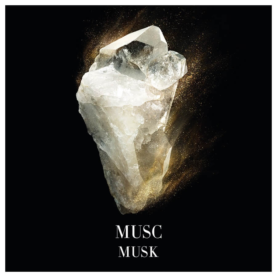 Musc Shamal Eau de Parfum