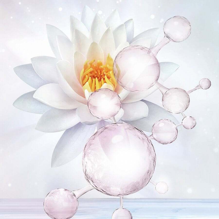 Infusion Balancing Essence Lotion