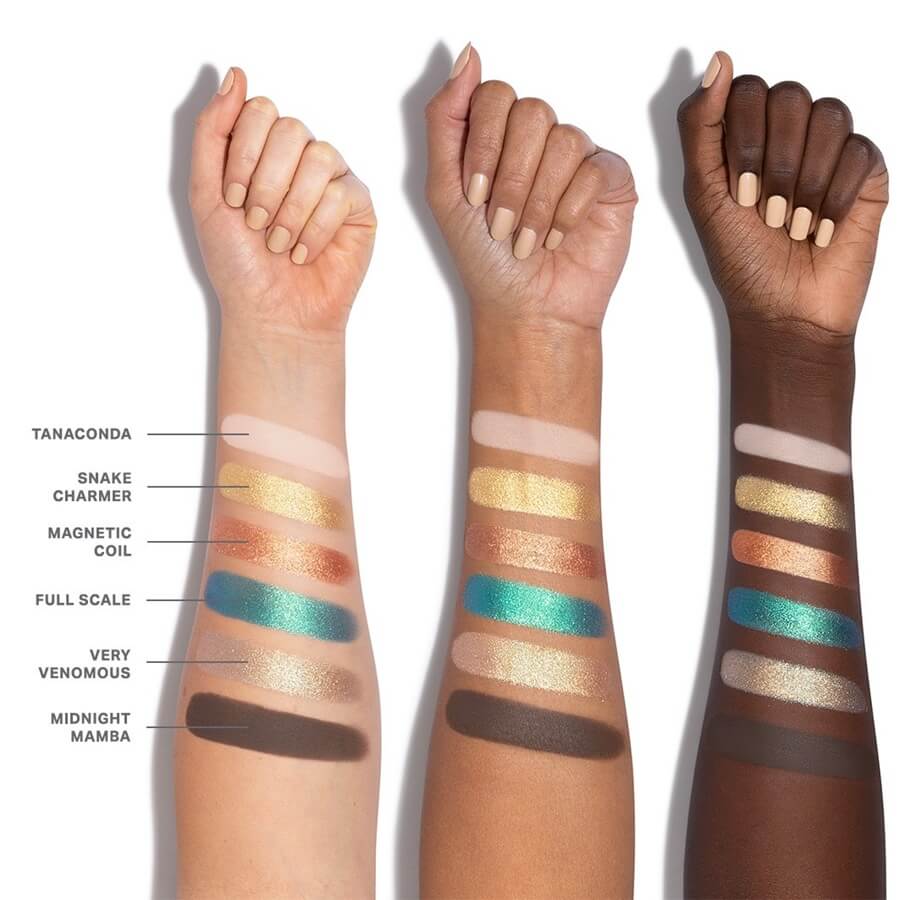 Python Code Eyeshadow Palette
