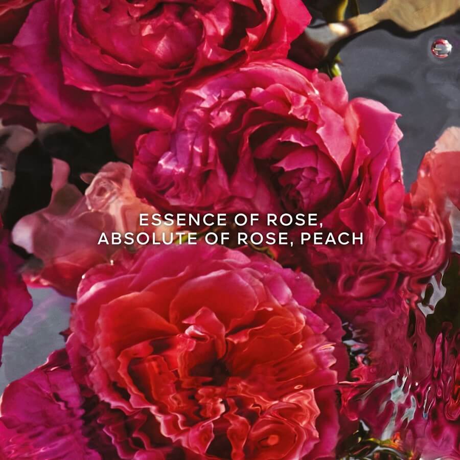 Rosa Rossa Forte Refill Eau de Parfum