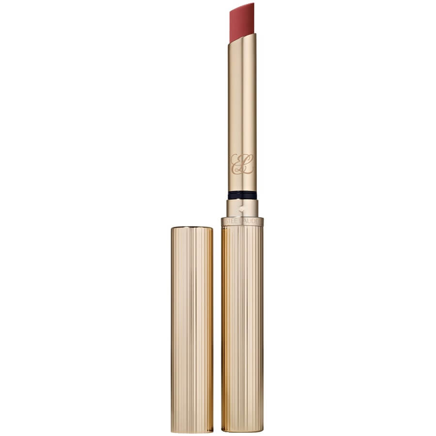 Pure Color Explicit Silk Matte Lipstick