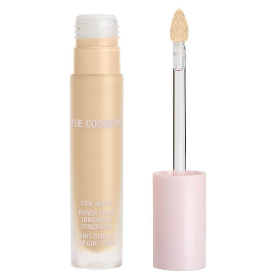 Power Plush Longwear Concealer