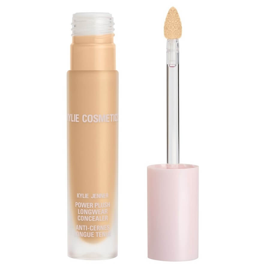 Power Plush Longwear Concealer