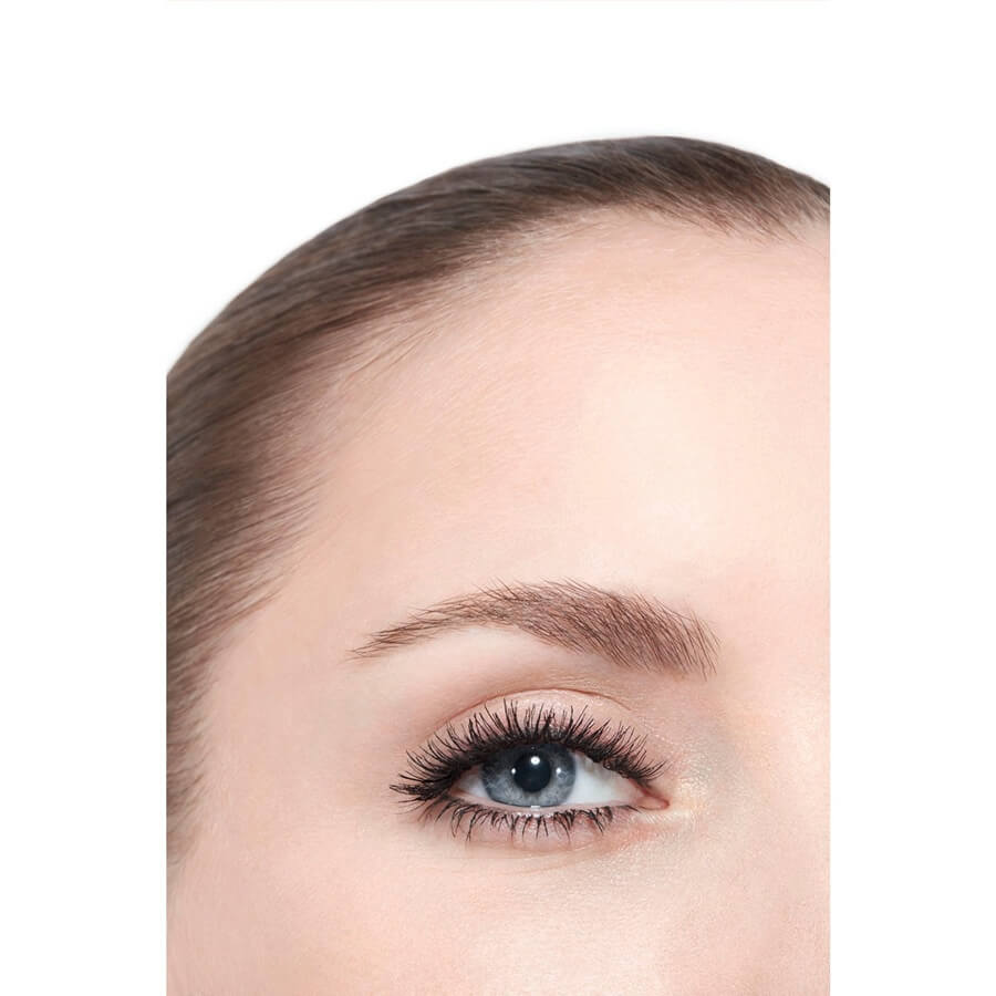 LE VOLUME DE CHANEL