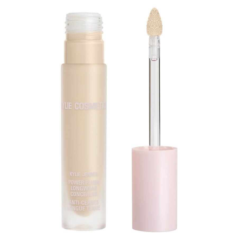 Power Plush Longwear Concealer