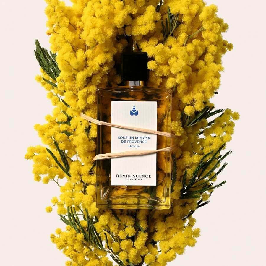 Sous Un Mimosa De Provence Eau de Toilette Intense