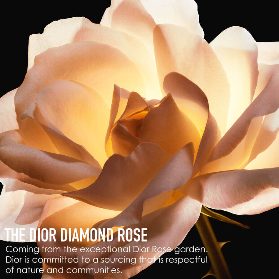 Dior Prestige La Micro-Lotion de Rose Advanced Formula Face Lotion