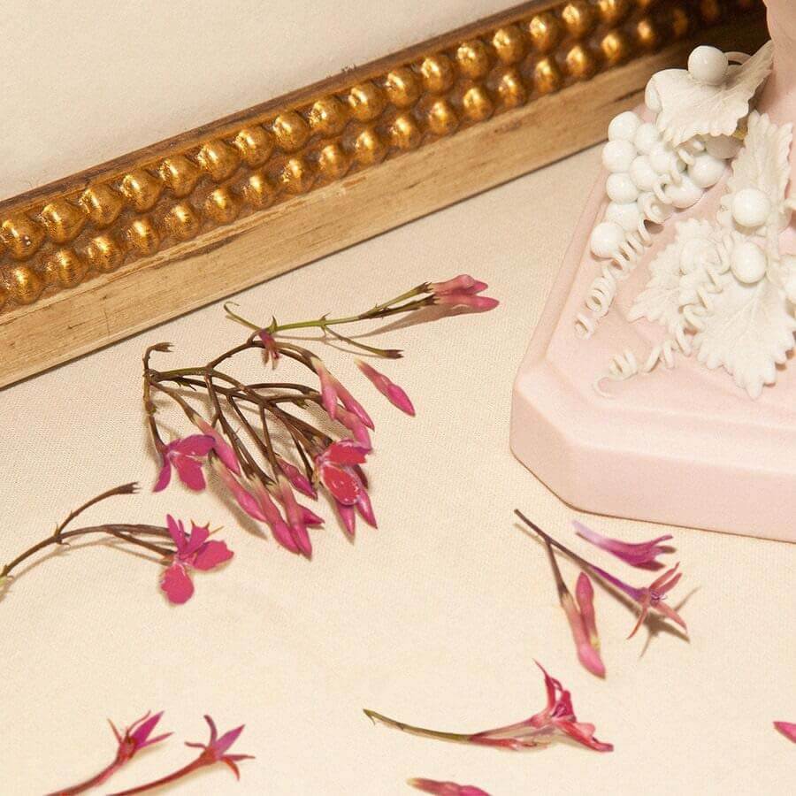 Gucci Bloom Ambrosia Di Fiori Eau de Parfum
