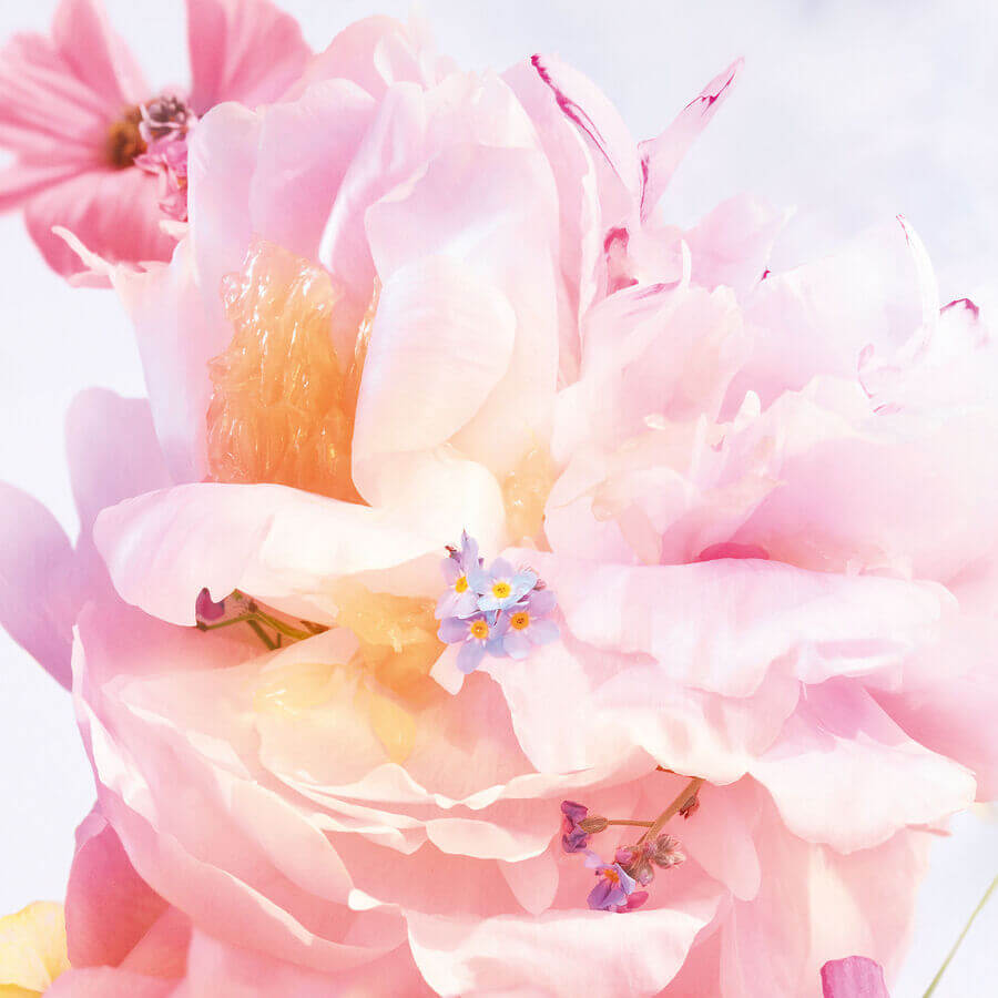 Miss Dior Blooming Bouquet Eau de Toilette