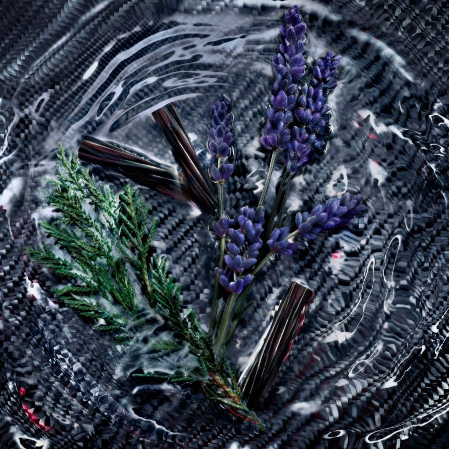 Luna Rosa Carbon Eau de Parfum