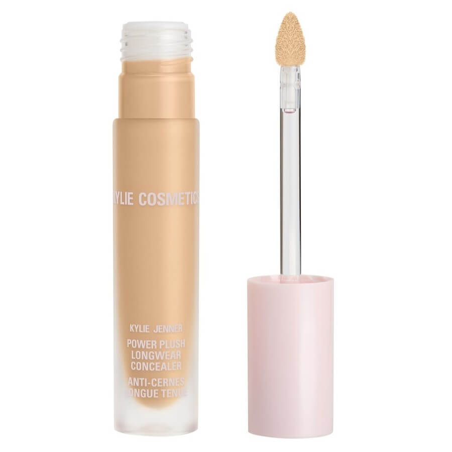 Power Plush Longwear Concealer