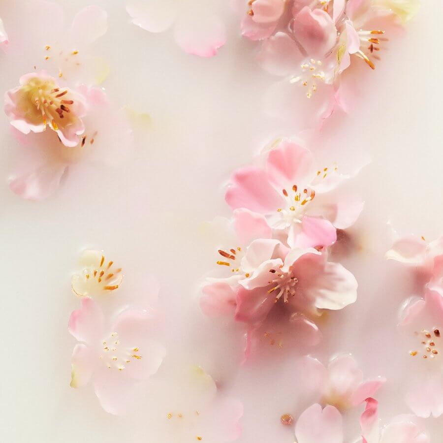 The Ritual of Sakura Body Cream