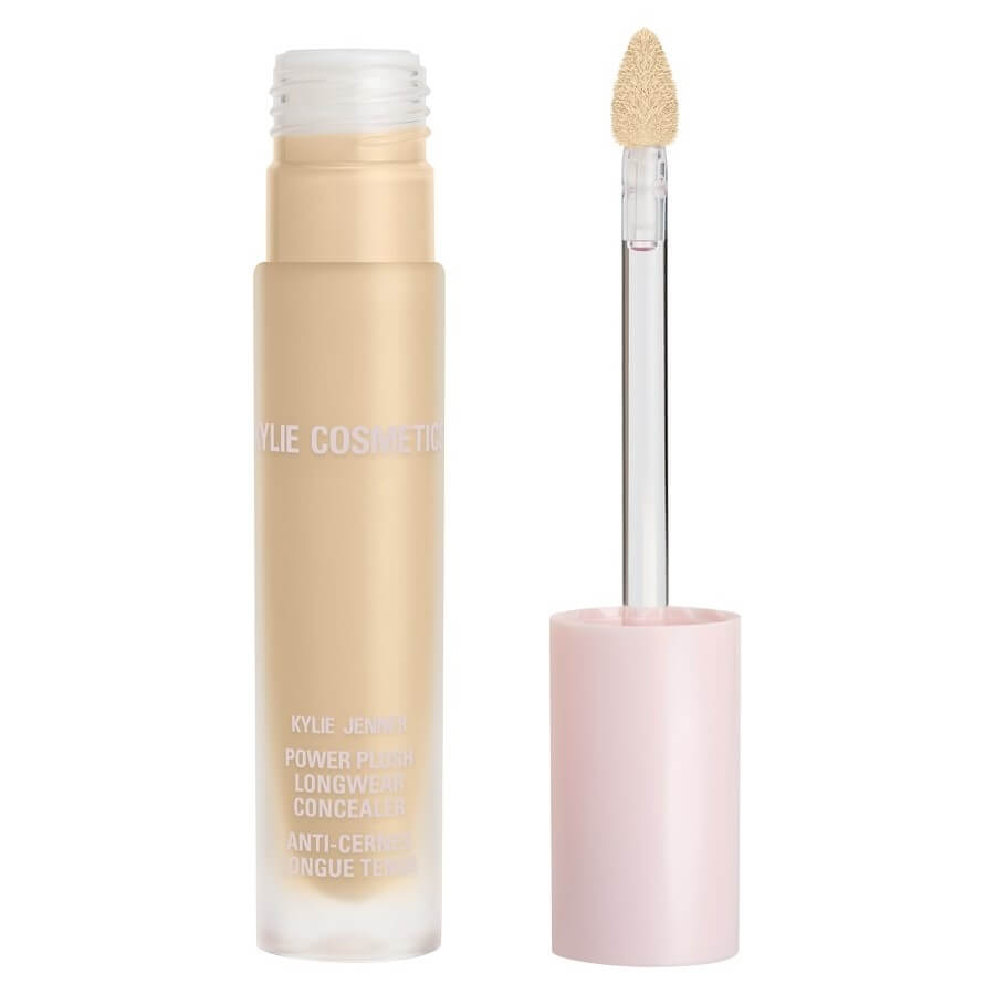 Power Plush Longwear Concealer