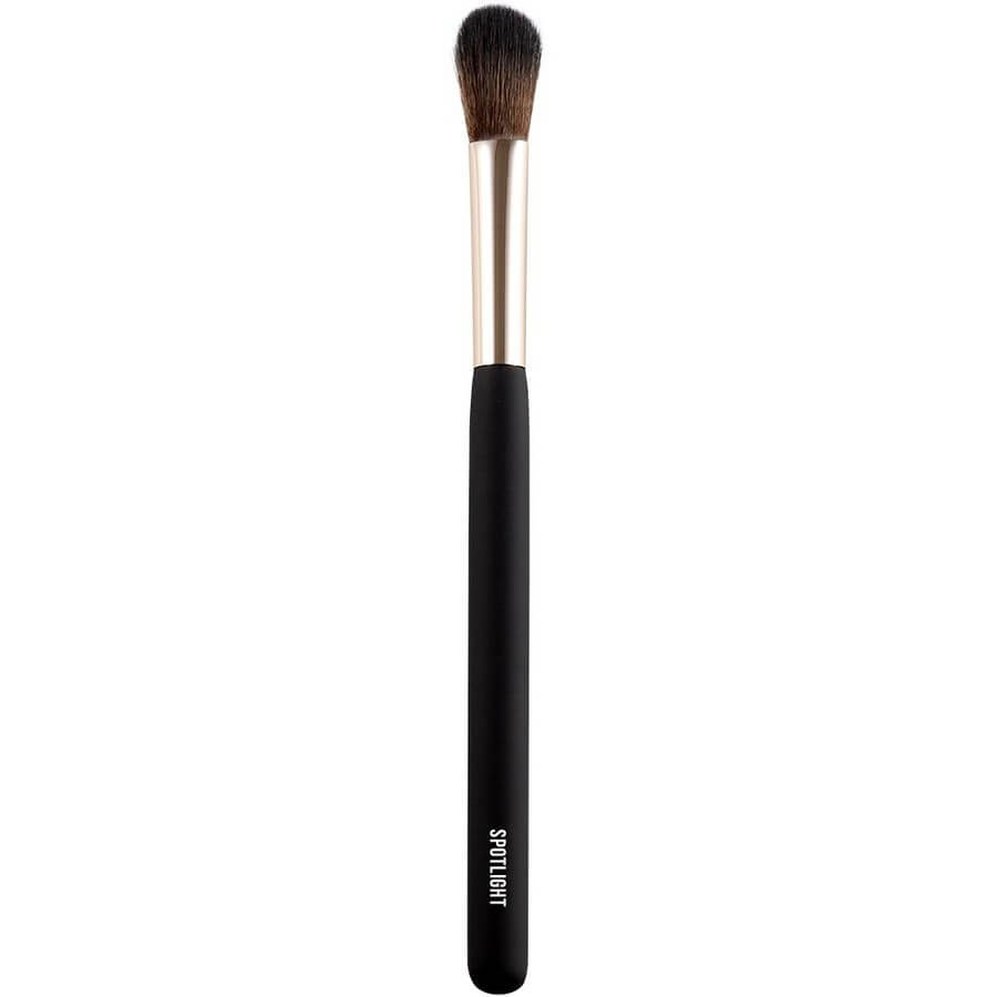 Spotlight Face Brush 04