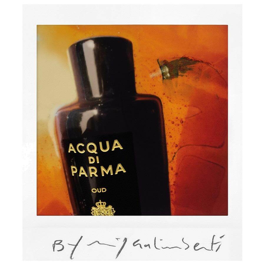 Signature Of The Sun Oud Eau de Parfum