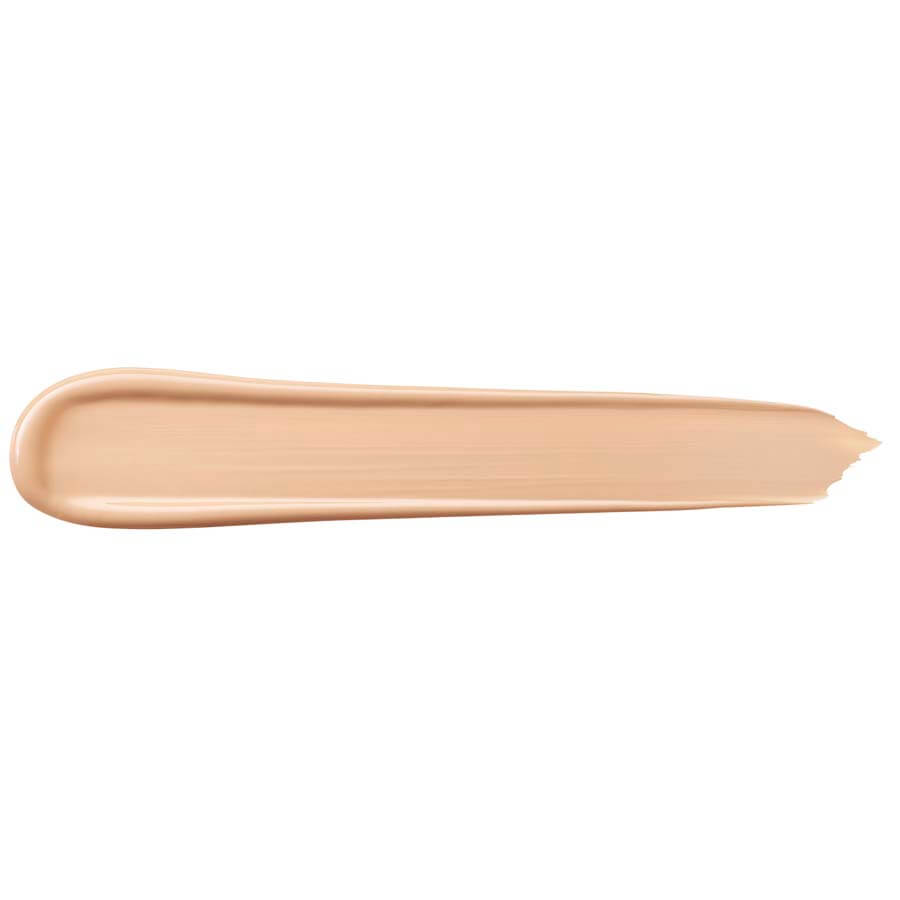 Teint Idole Ultra Wear All Over Concealer