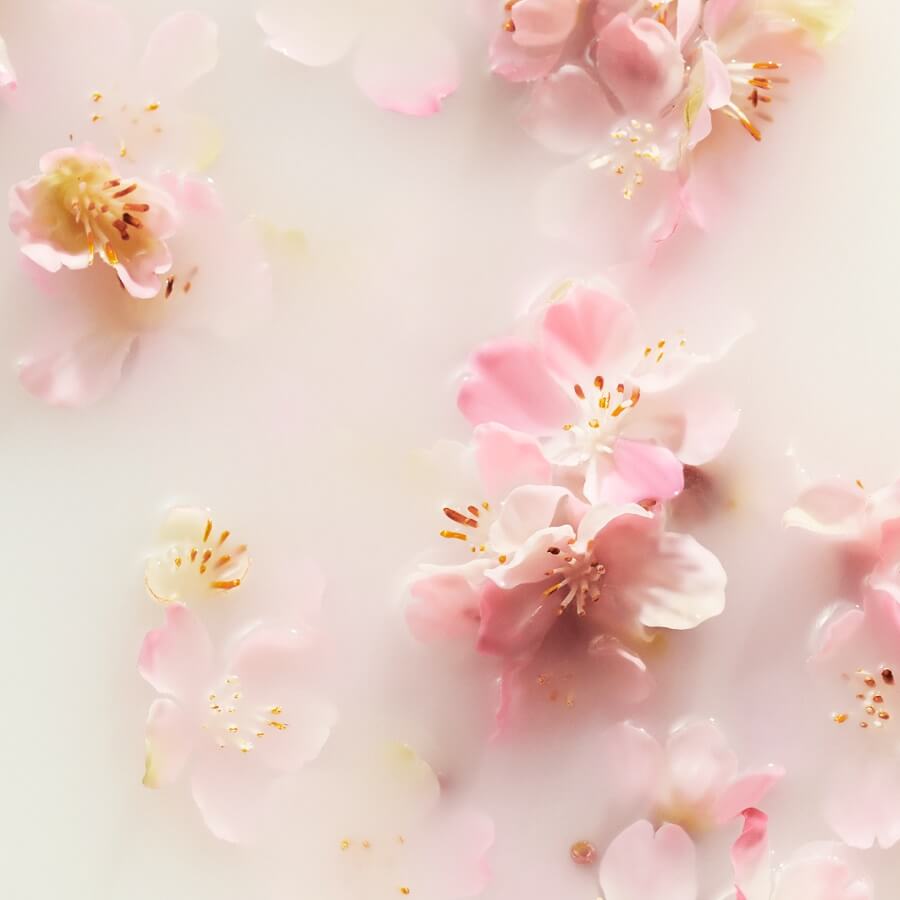 The Ritual of Sakura Scented Candle