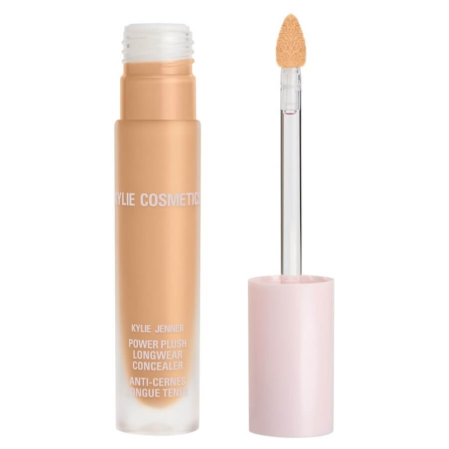 Power Plush Longwear Concealer