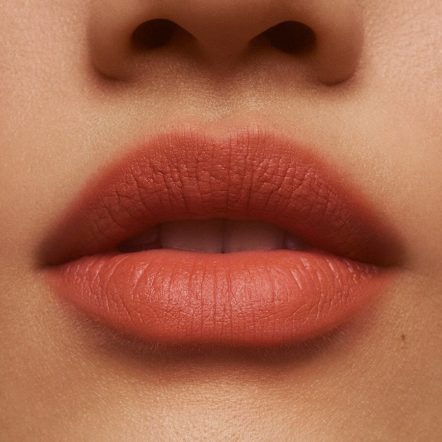Blurred Matte Lip Plumper