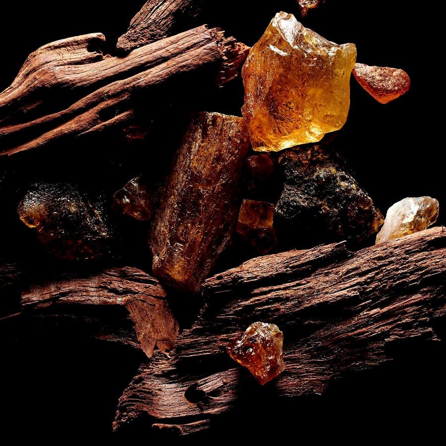 Sacred Wood Eau de Parfum
