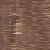 Warm Brown