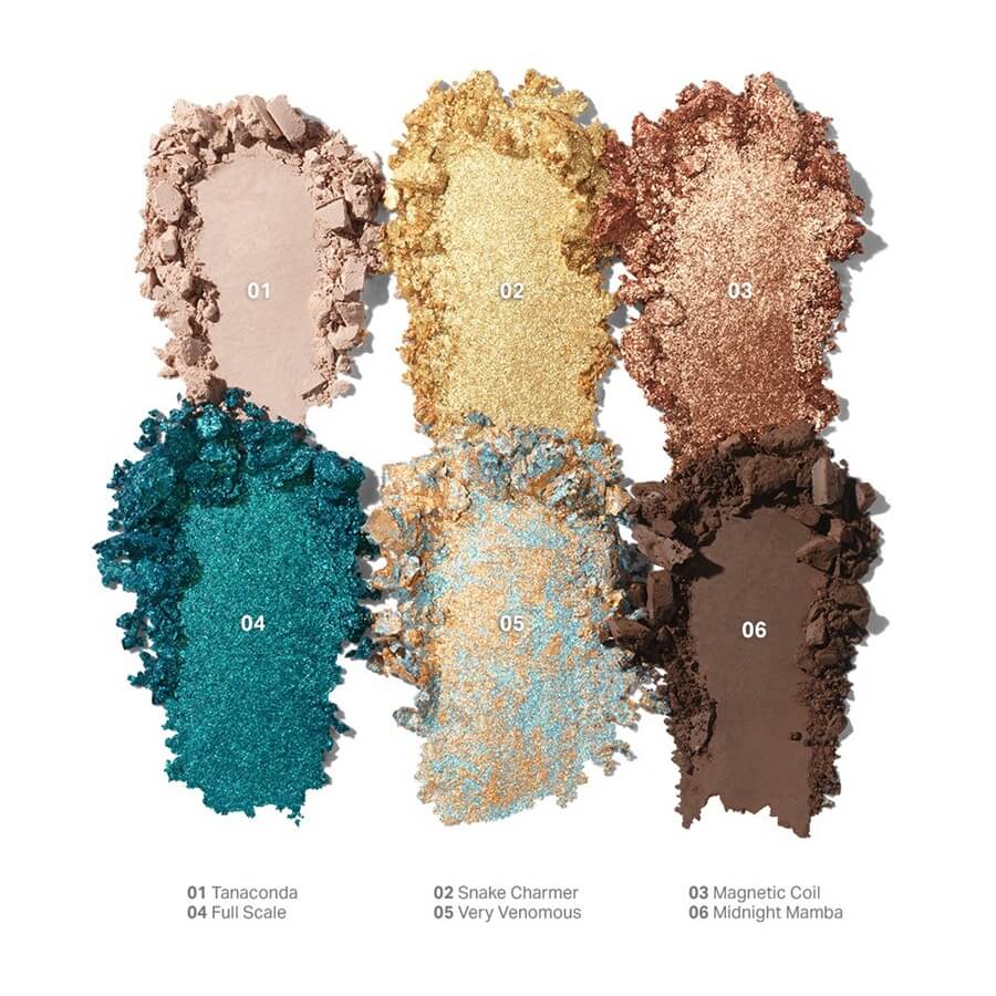 Python Code Eyeshadow Palette