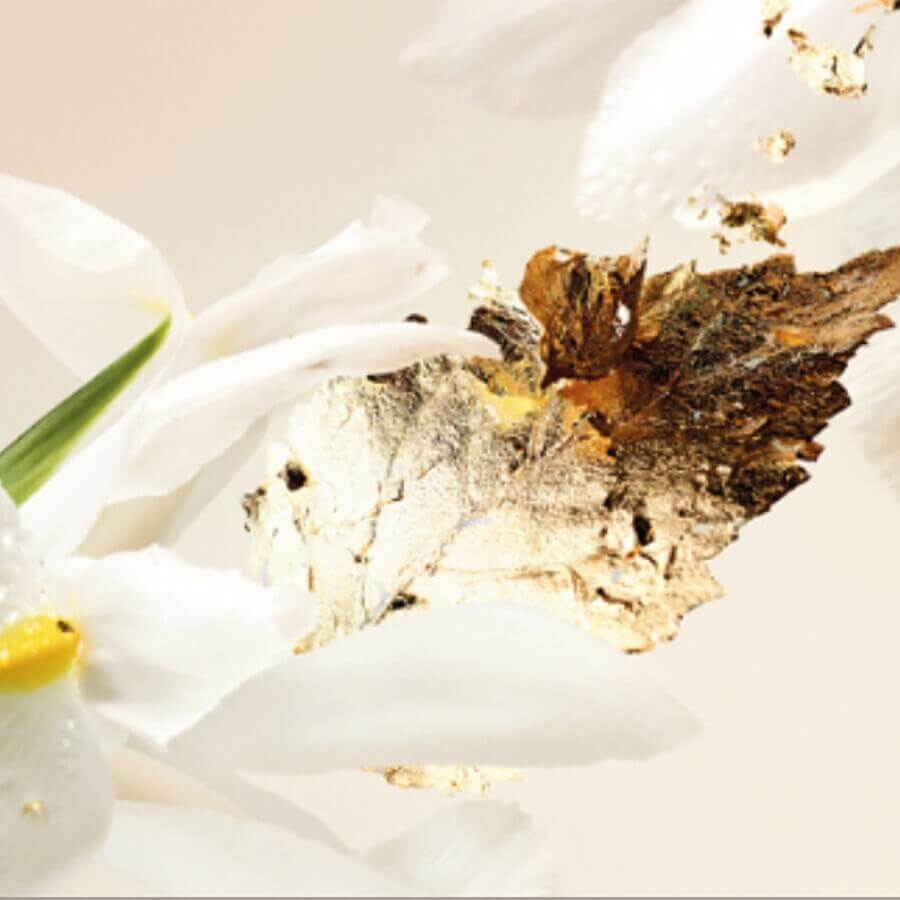 Splendida Patchouli Tentation Eau de Parfum
