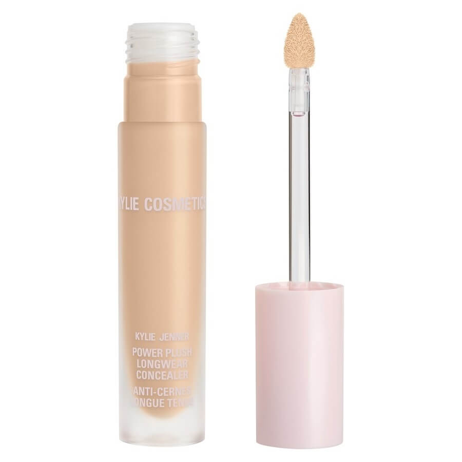 Power Plush Longwear Concealer