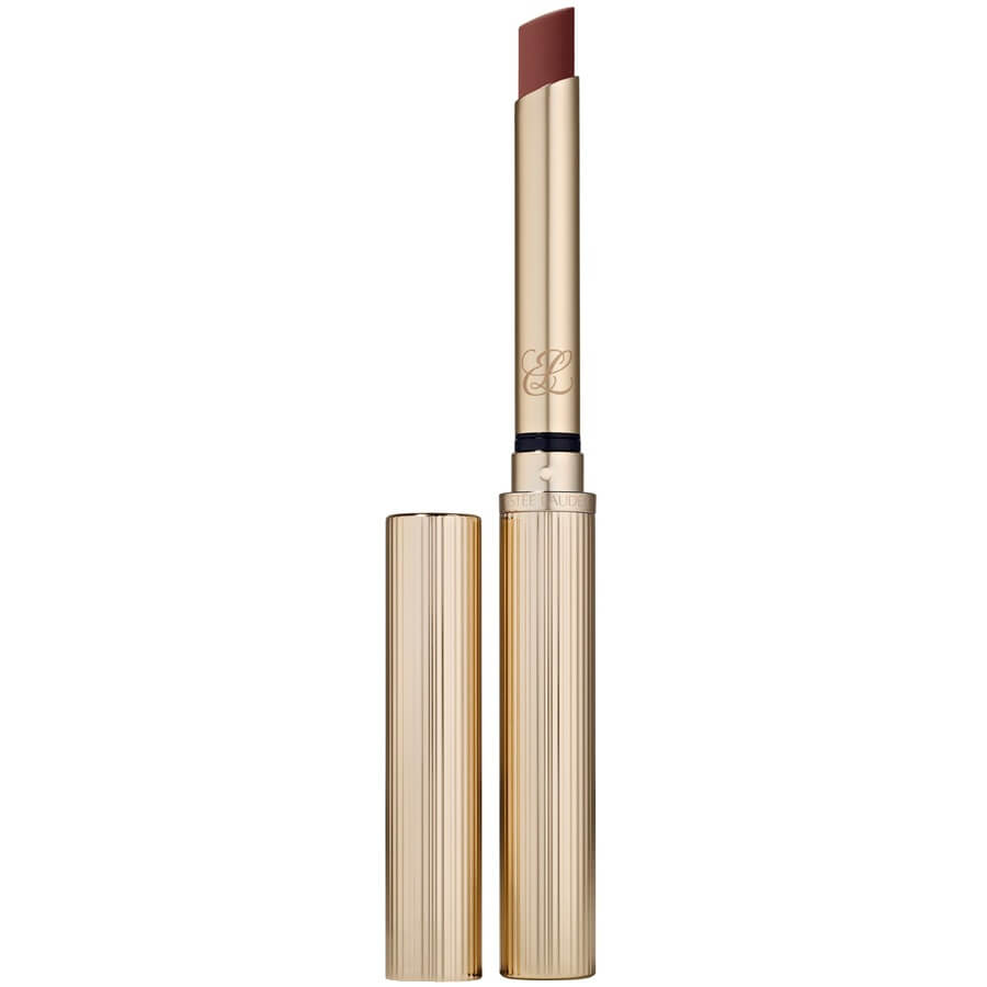 Pure Color Explicit Silk Matte Lipstick