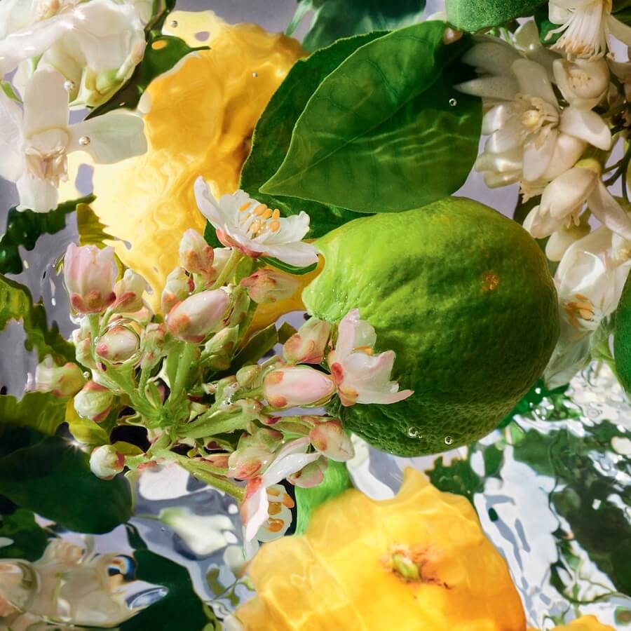 Bergamot Calabria Eau de Toilette
