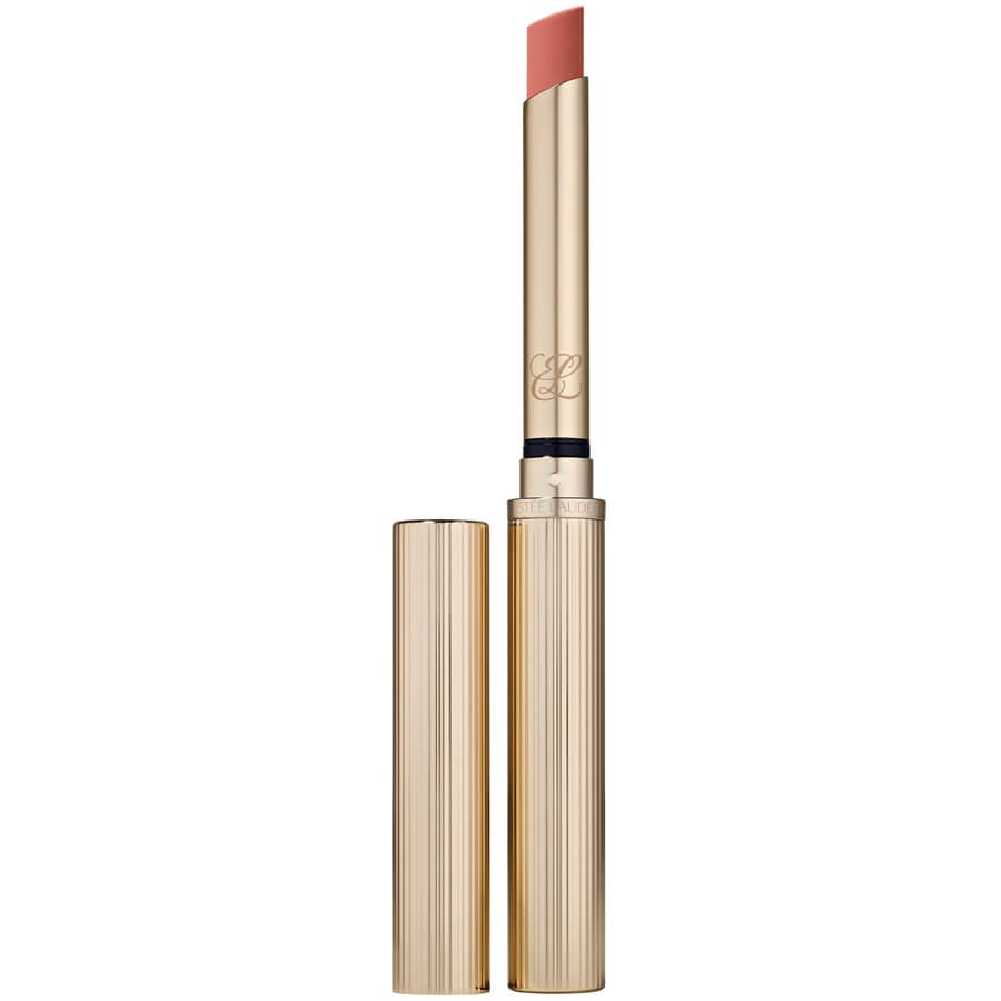Pure Color Explicit Silk Matte Lipstick