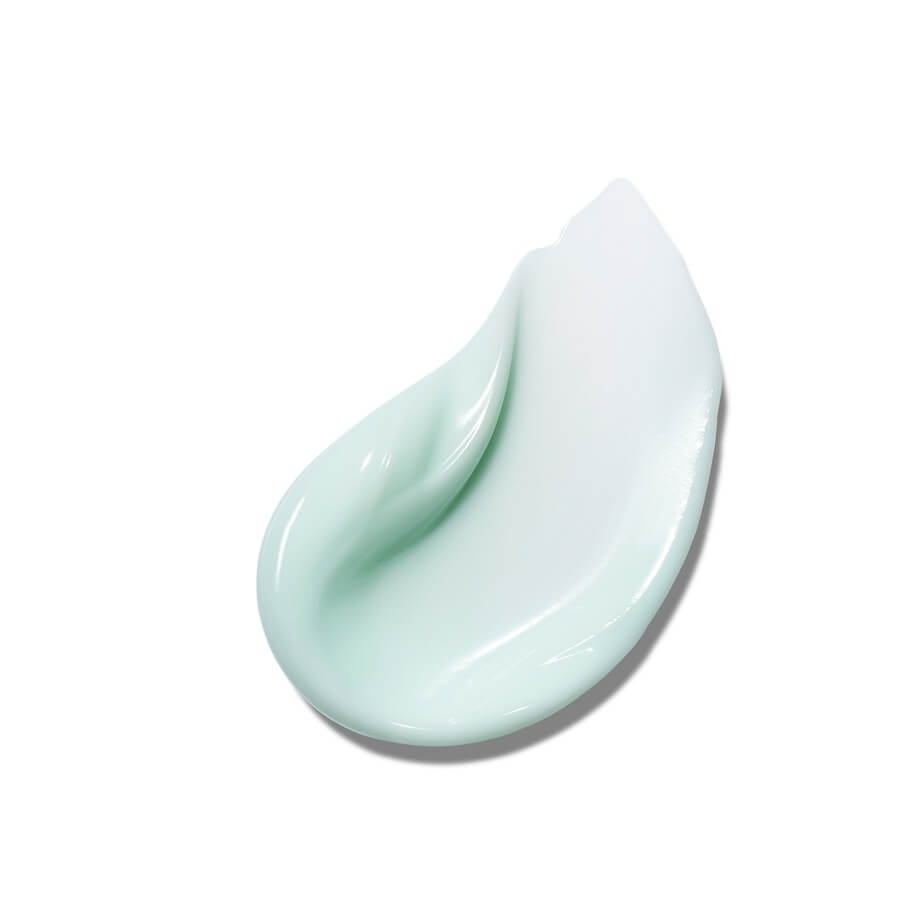 PDRN Hyaluronic Acid 100 Moisturizing Cream