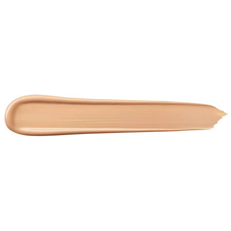 Teint Idole Ultra Wear All Over Concealer