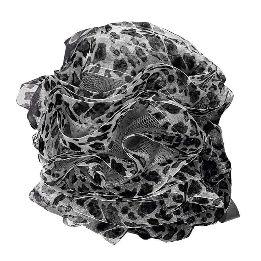 Leo Sponge