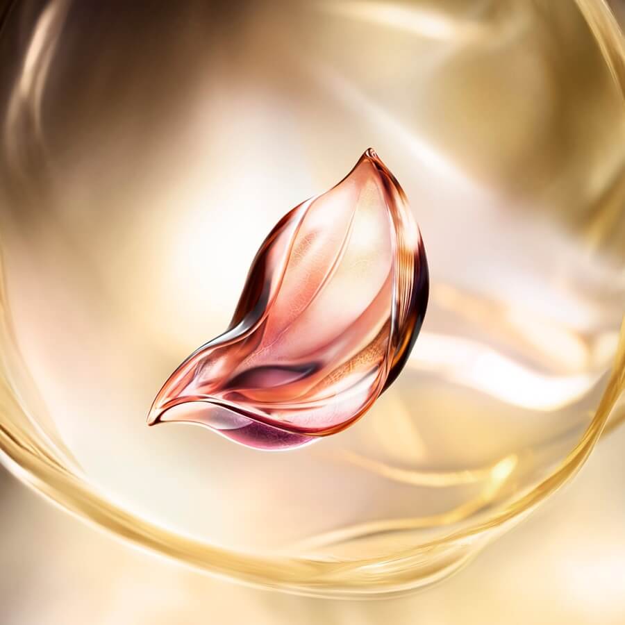 Absolue Longevity Soft Cream