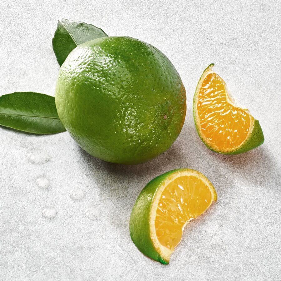 Acqua di Giò Eau de Parfum