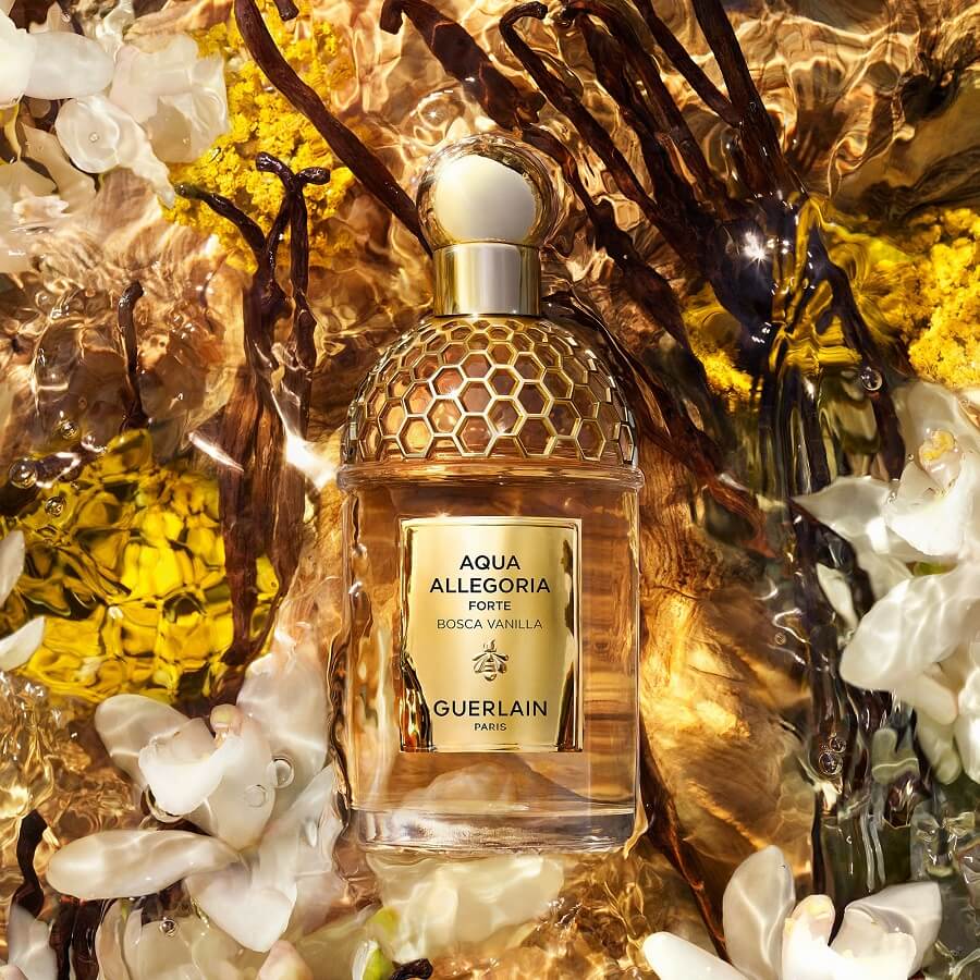 Bosca Vanilla Forte Eau de Parfum