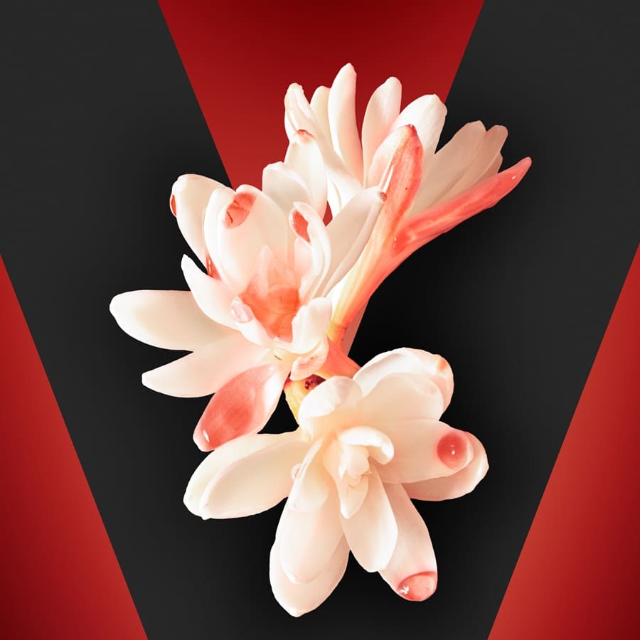 Vendetta Donna Eau de Parfum