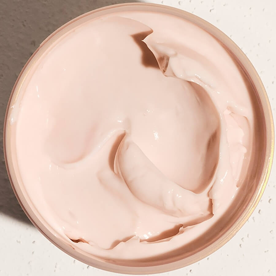 Rosa Charmosa Dewy Cream