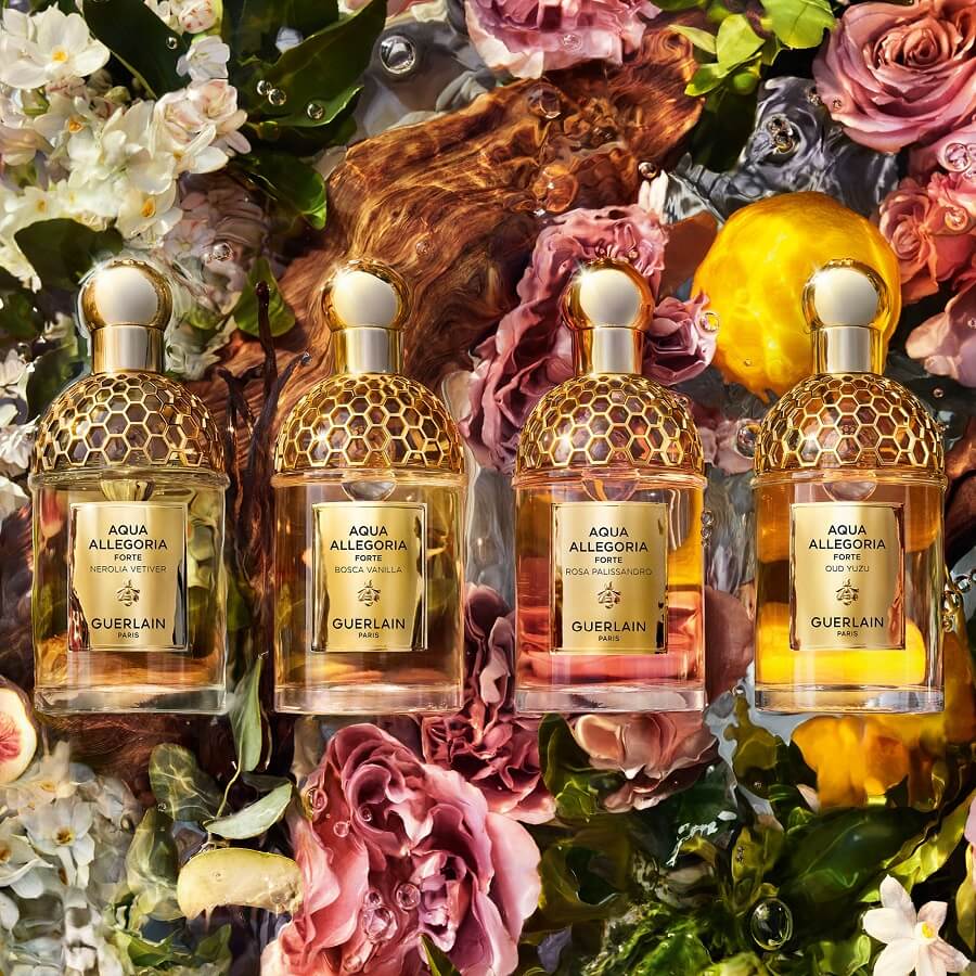 Bosca Vanilla Forte Eau de Parfum