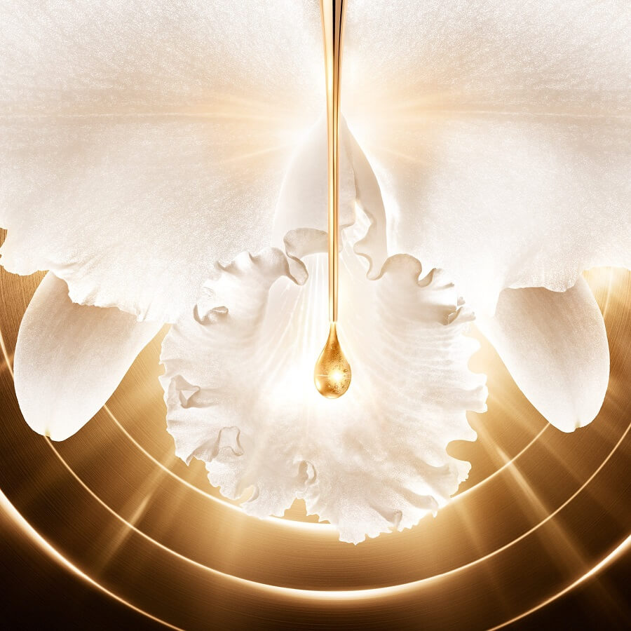 Orchidée Impériale 24 Gold Cream