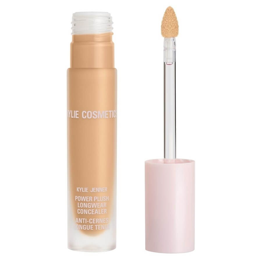 Power Plush Longwear Concealer