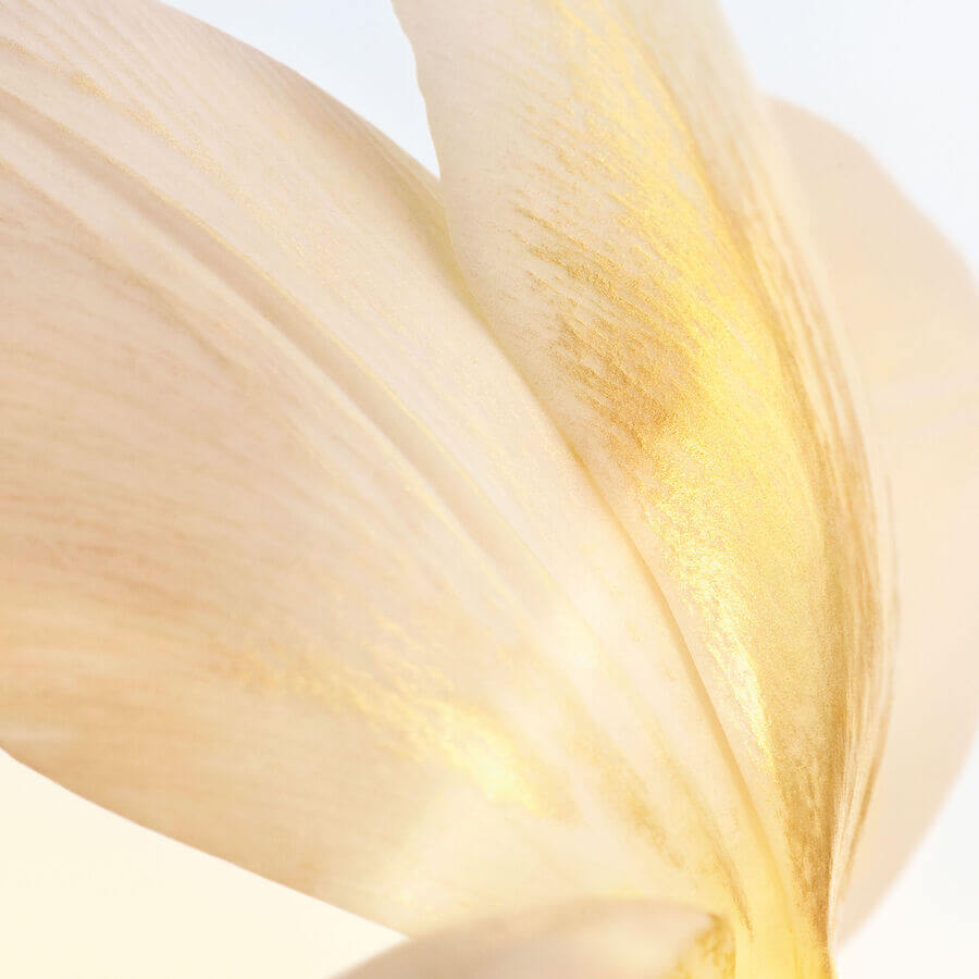 J'adore L'Or Essence de Parfum