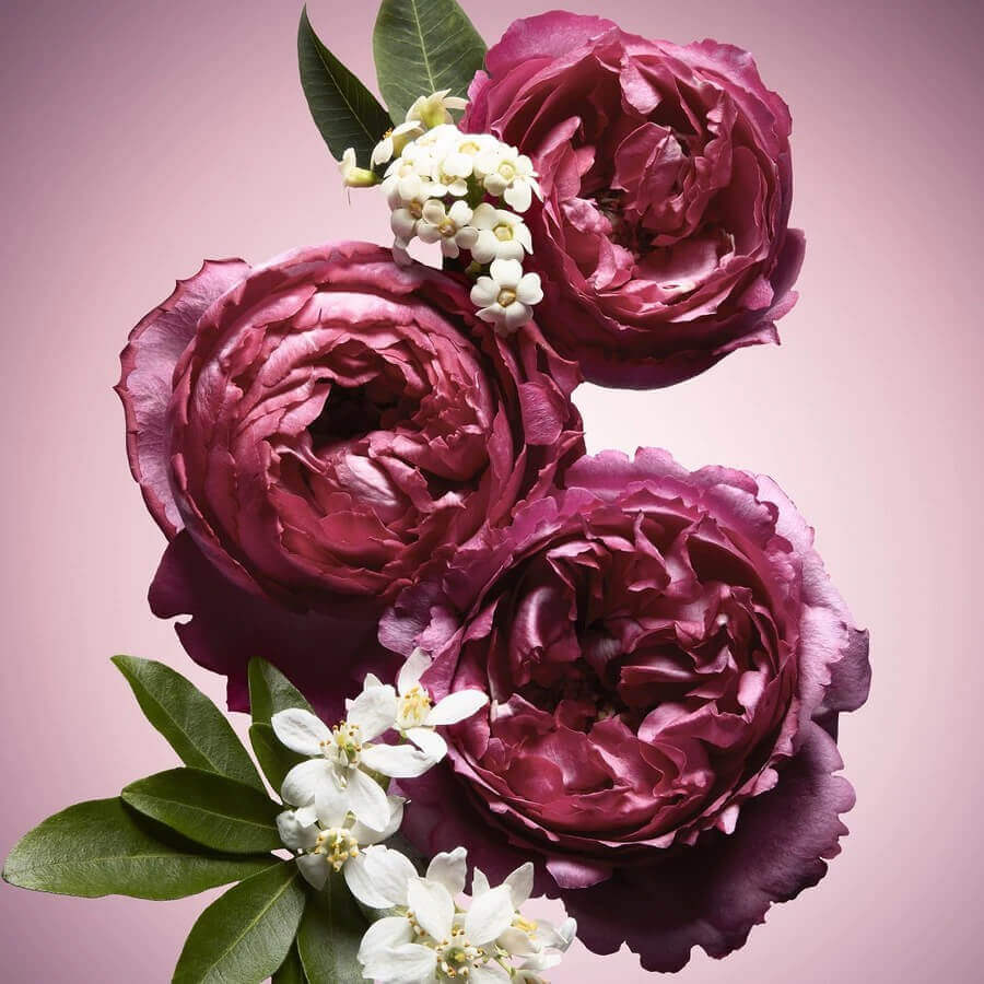 Flowerbomb Nectar Eau de Parfum
