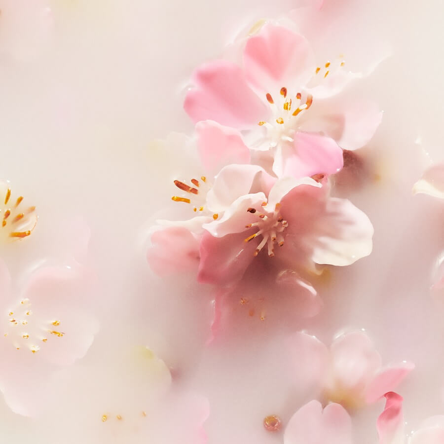 Sakura Foaming Shower Gel